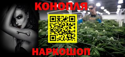 прущие грибы Можга