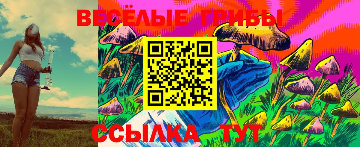 Псилоцибиновые грибы Psilocybe  Галлюциногенные грибы ЛСД  Вход с VPN  Электросталь 