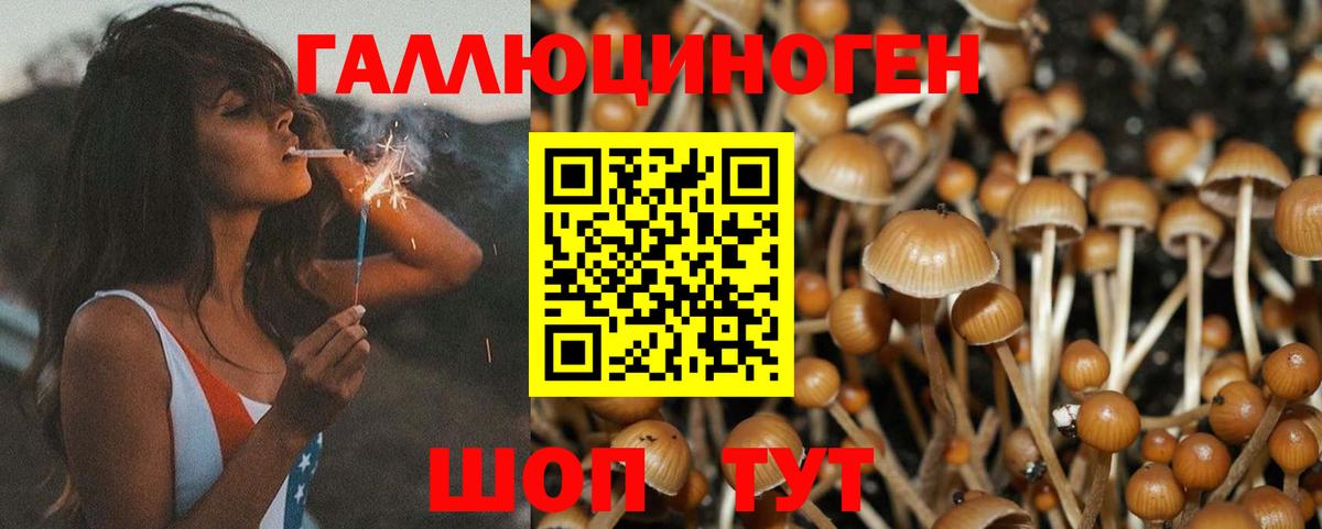 Псилоцибиновые грибы Magic Shrooms Электросталь